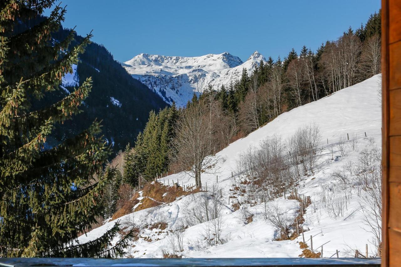 Appartementhaus Tannenberg Зальбах-Хинтерглемм Экстерьер фото